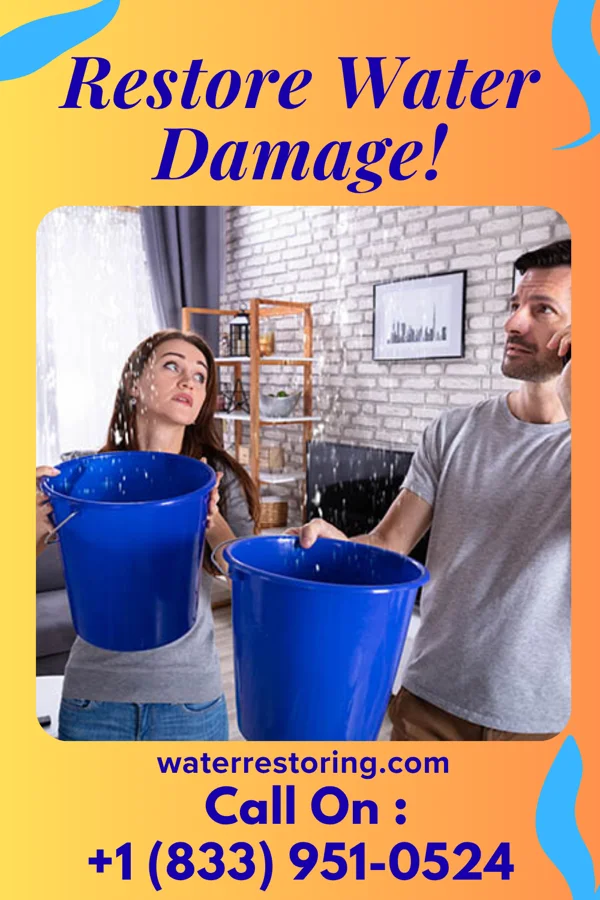 water restoration Quality Disaster Recovery Pros Hearne