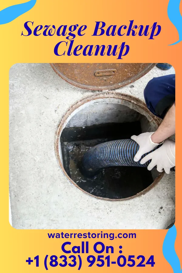 Sewage Backup Cleanup in Hearne, TX